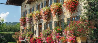 Apartamento 60QM para 4 pers., 2 dormitorios, 1 cocina, balcón, ducha / WC