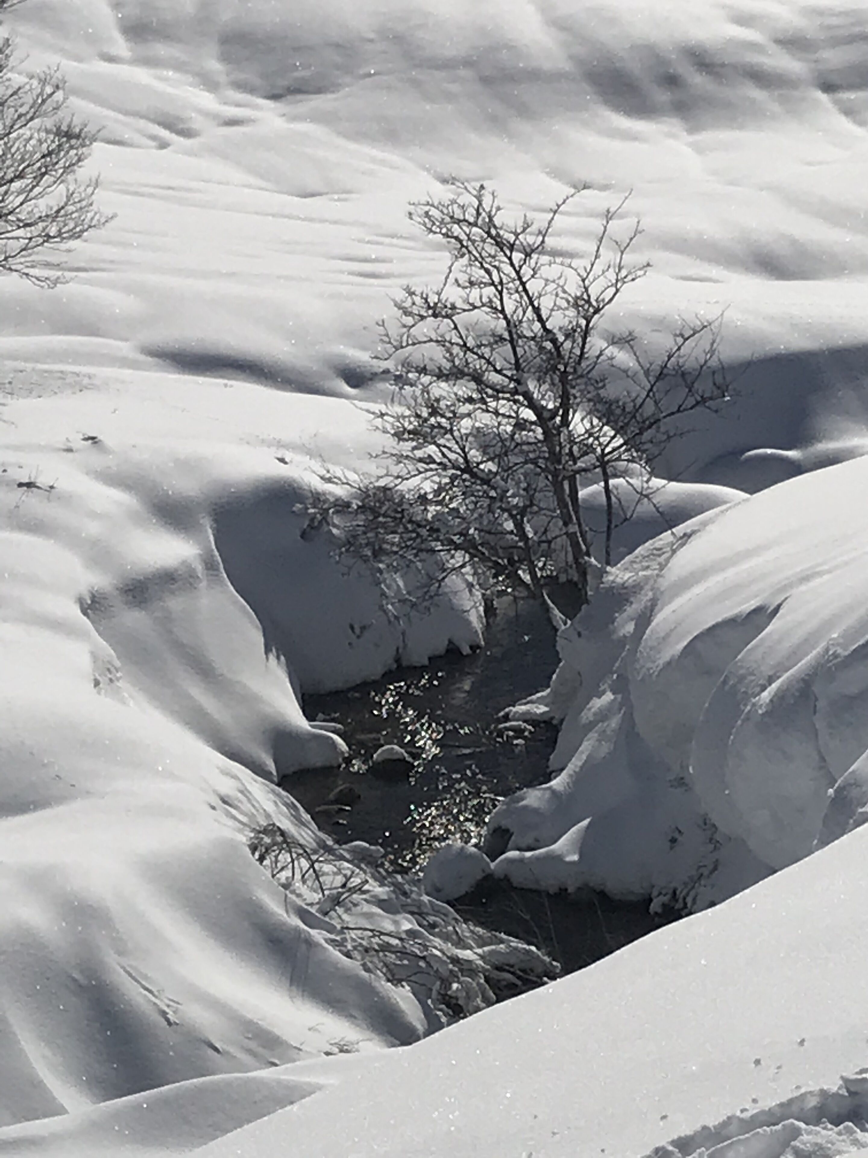 A snow-covered landscape with a small stream and leafless trees.