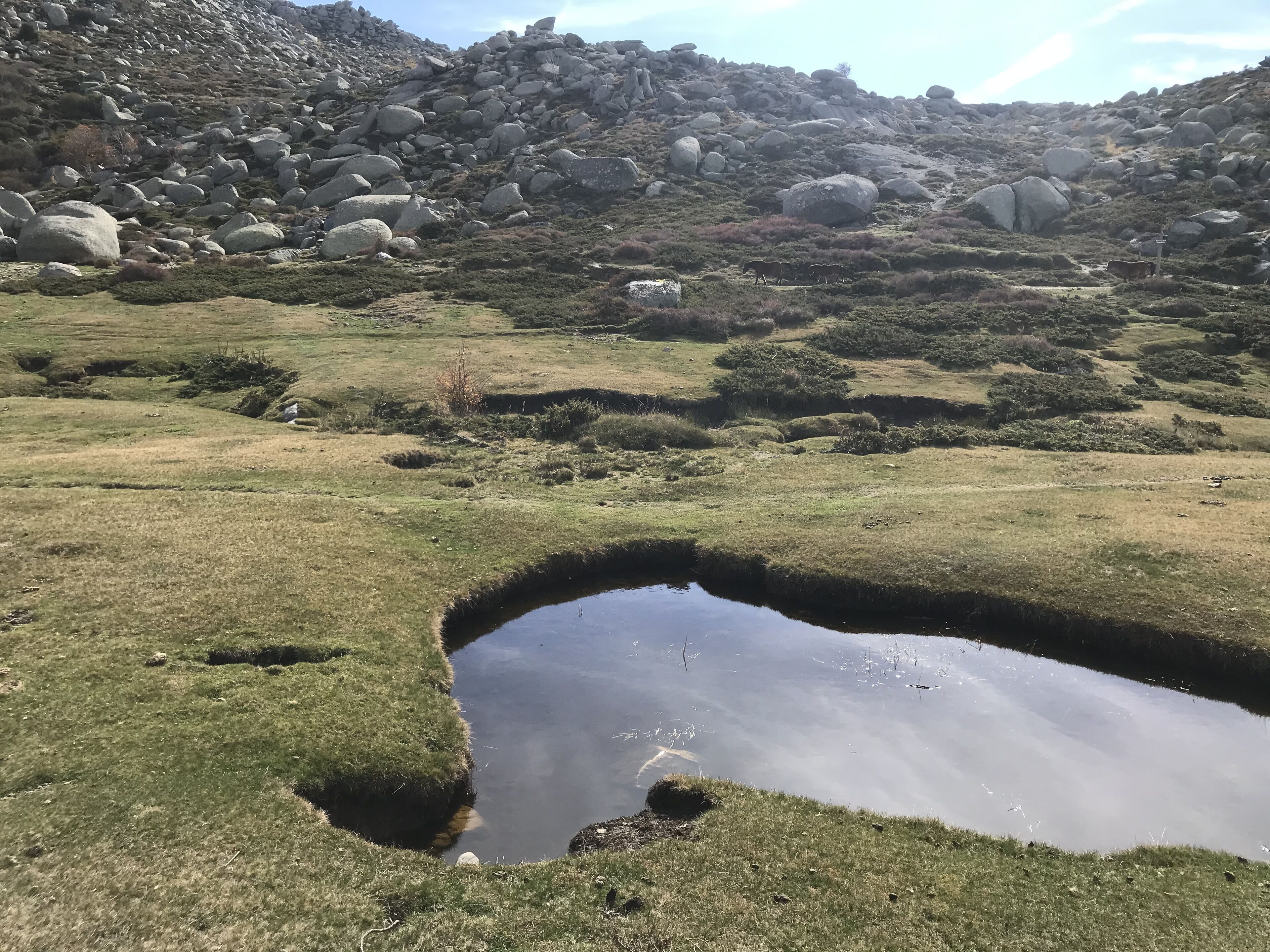 A natural landscape with a small pond, grassy terrain, and rocky hills in the background.