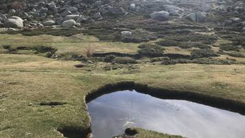 A natural landscape with a small pond, grassy terrain, and rocky hills in the background.