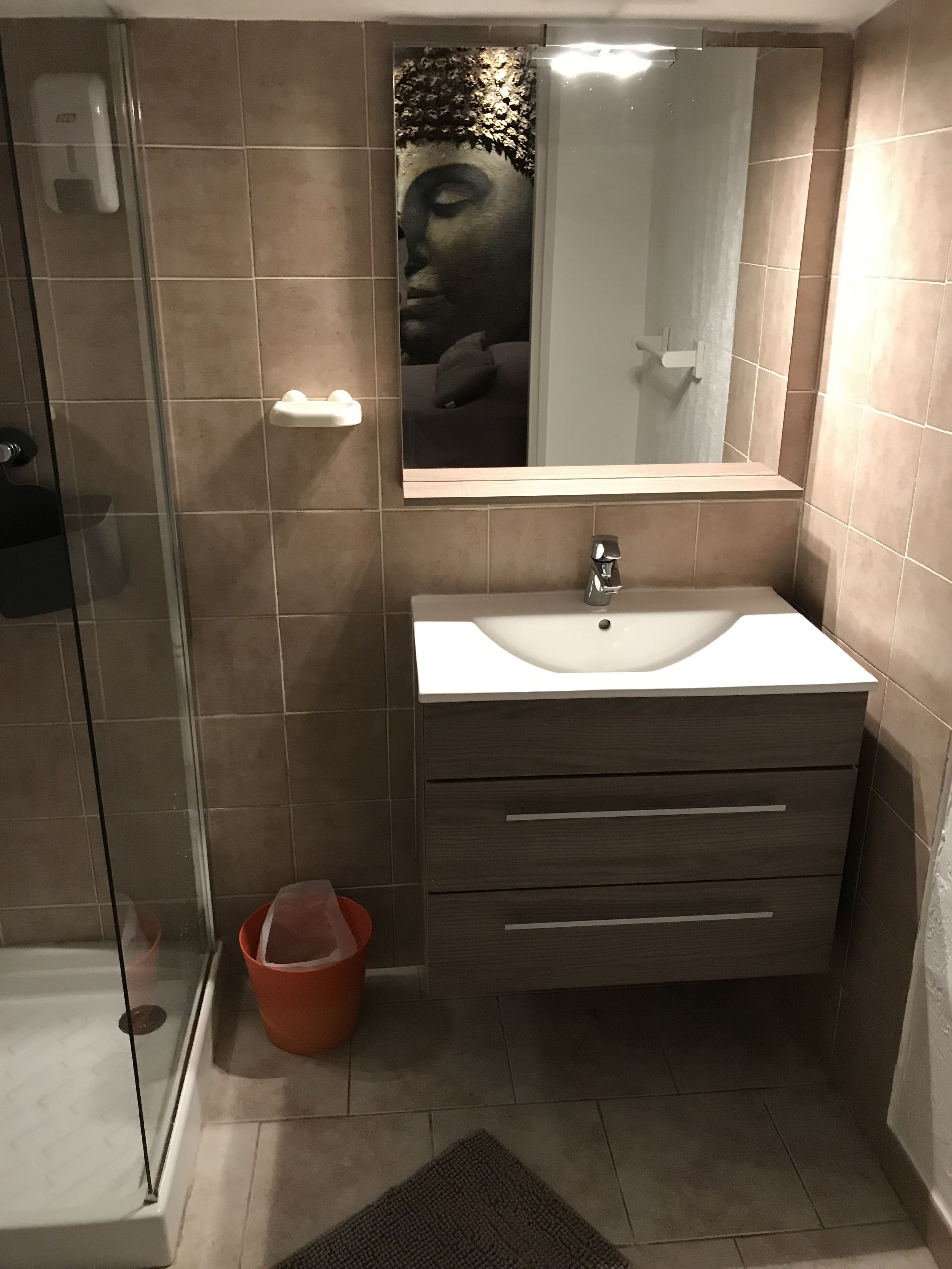 A bathroom with a glass shower enclosure, a sink with a mirror above it, and a small orange trash bin.