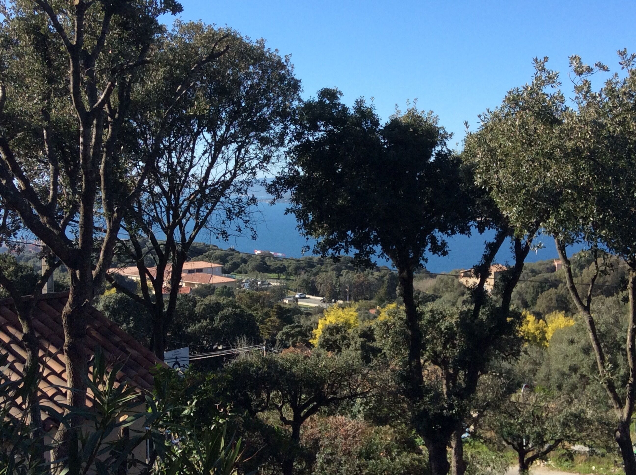 Vista de un paisaje costero con árboles y edificios a lo lejos.
