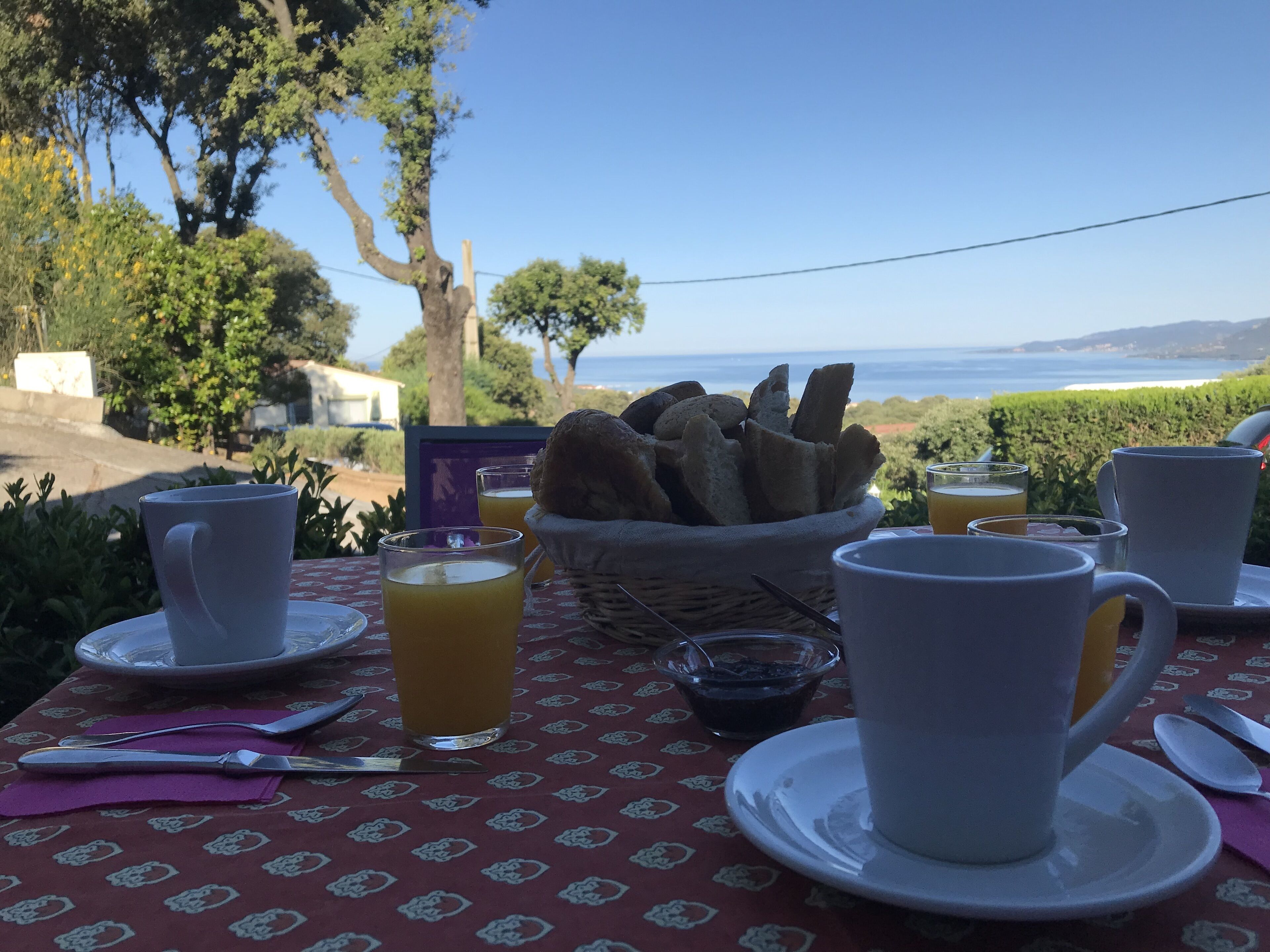 A table set for breakfast with bread, cups, and glasses of orange juice, overlooking a scenic landscape.