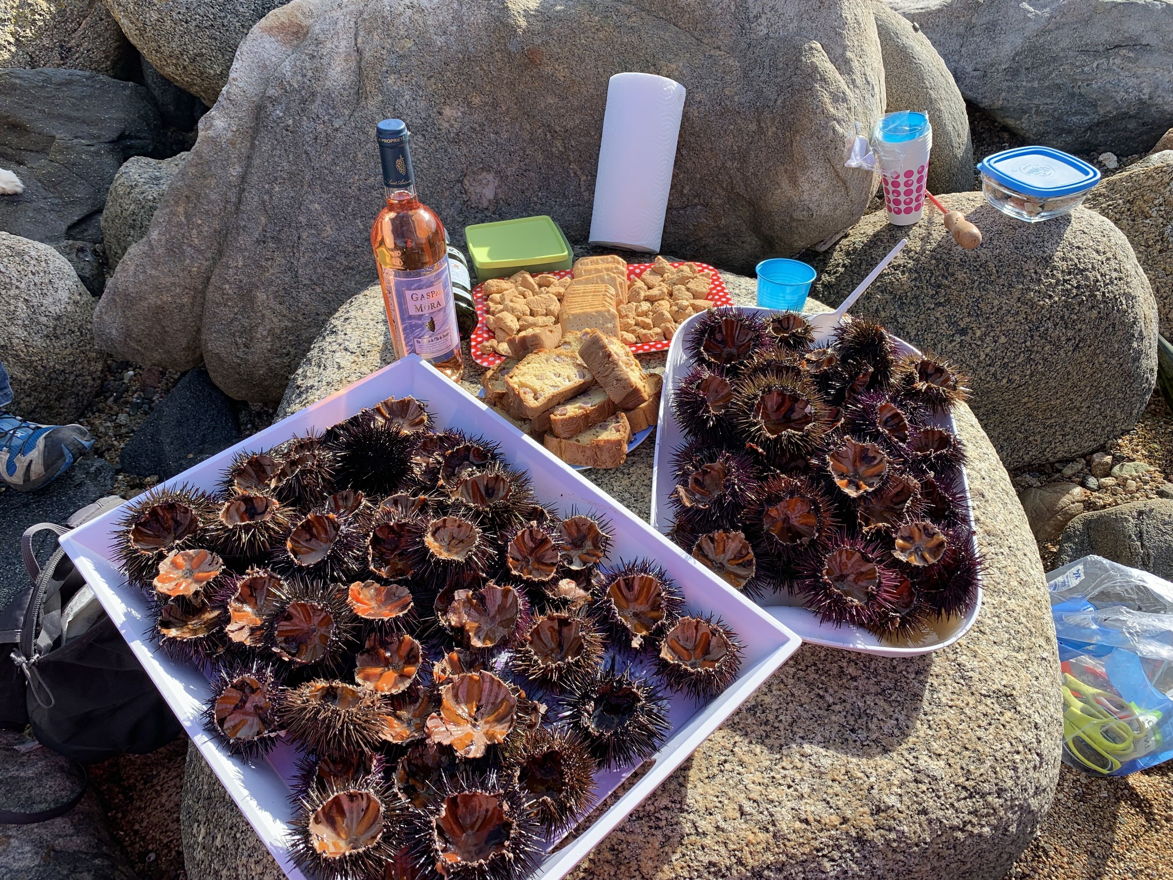 A beach setting with a table displaying sea urchins, a bottle of wine, and various snacks.