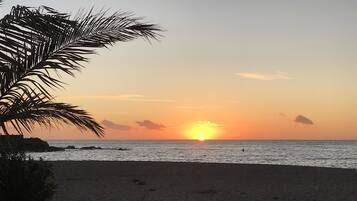 Platja al capvespre amb una palmera i línia de costa rocosa.