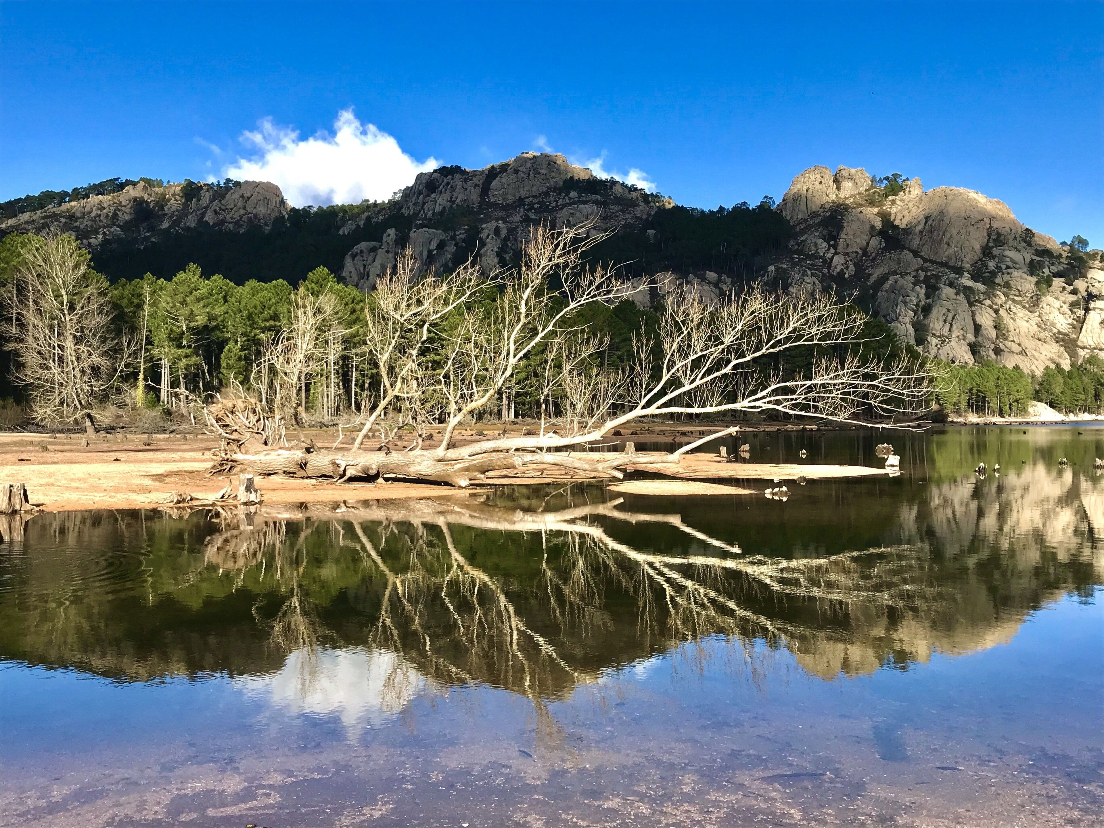 Hiking
