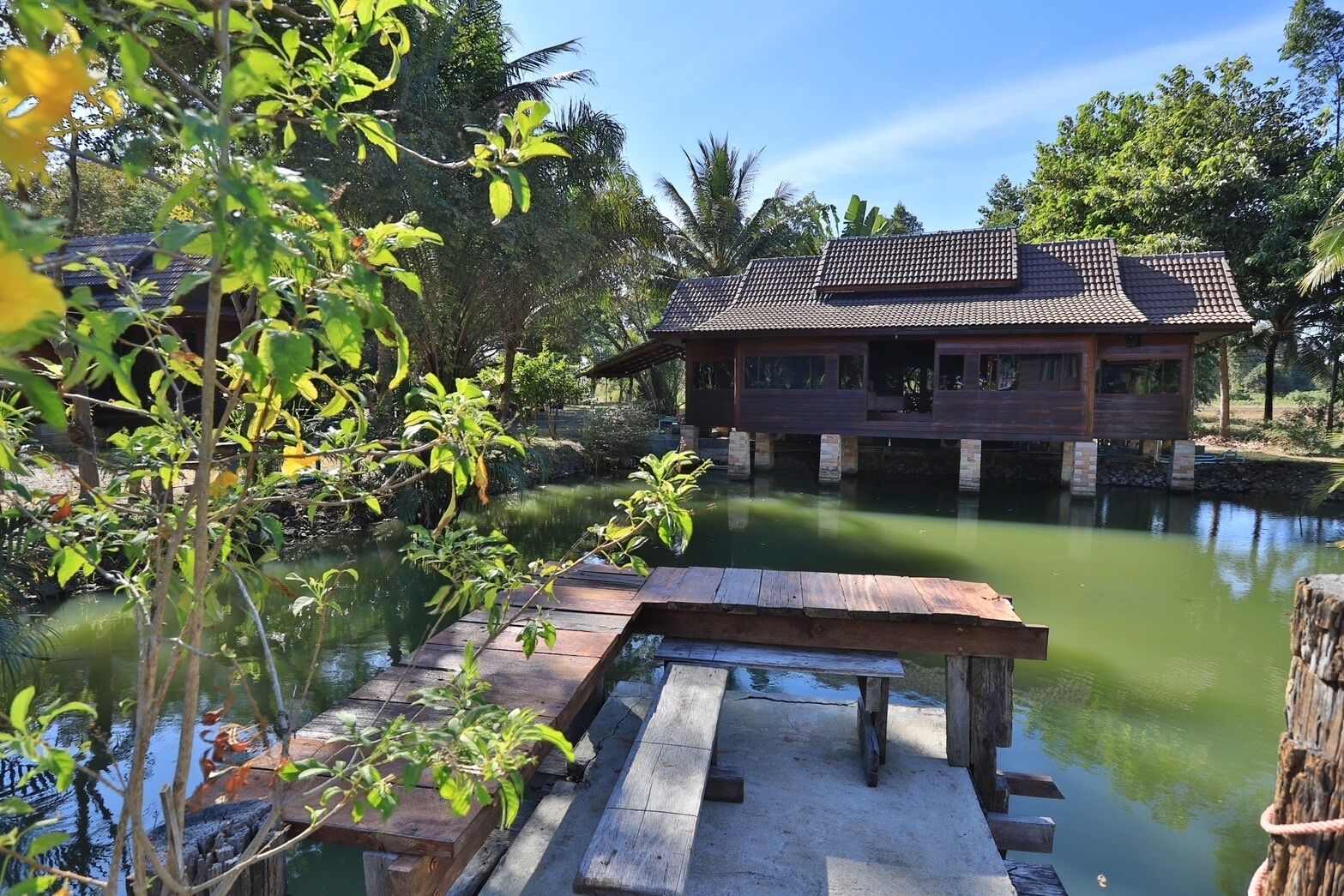 テラス / パティオ