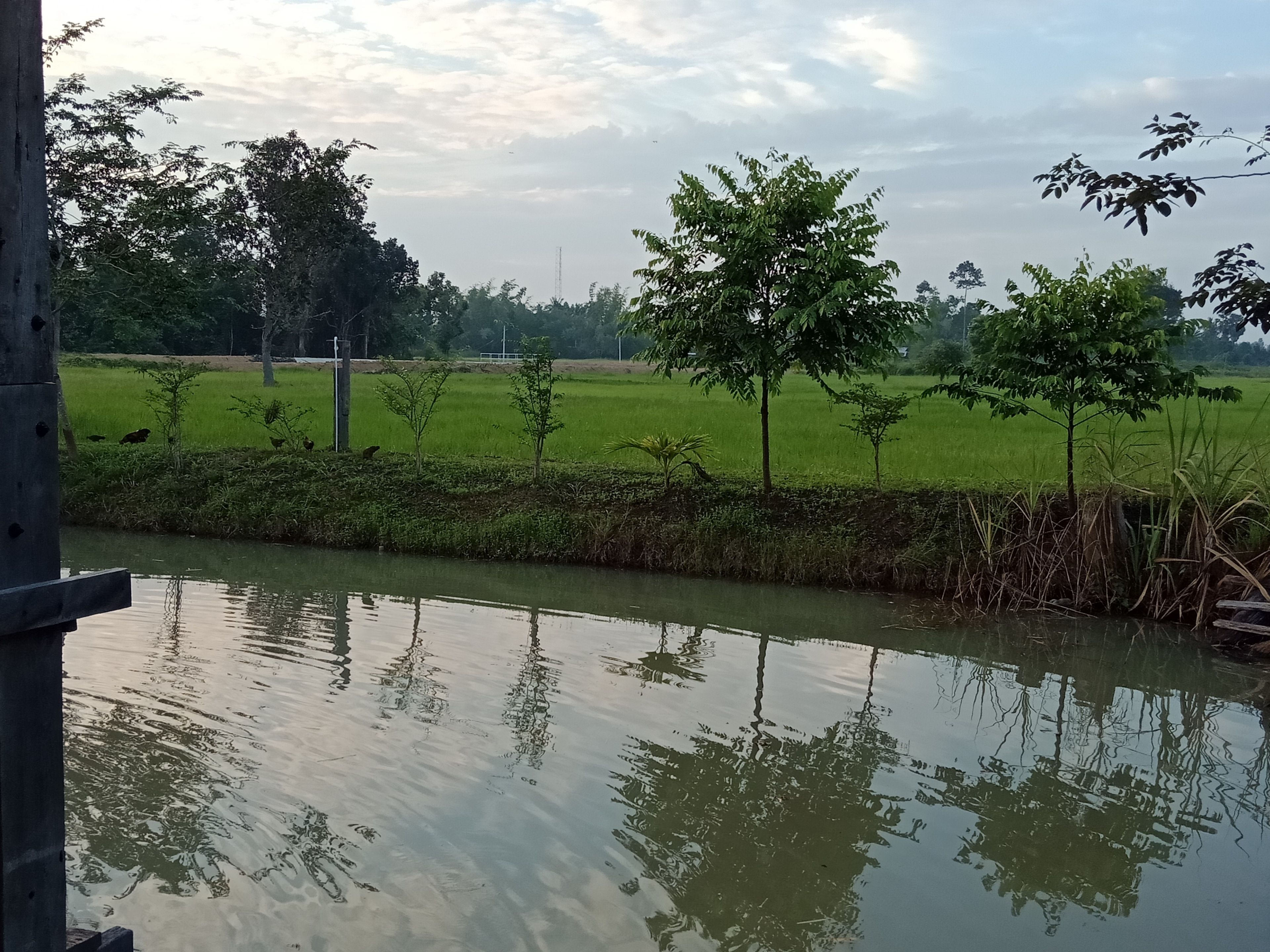 Un río tranquilo con reflejos de árboles y un cielo despejado.