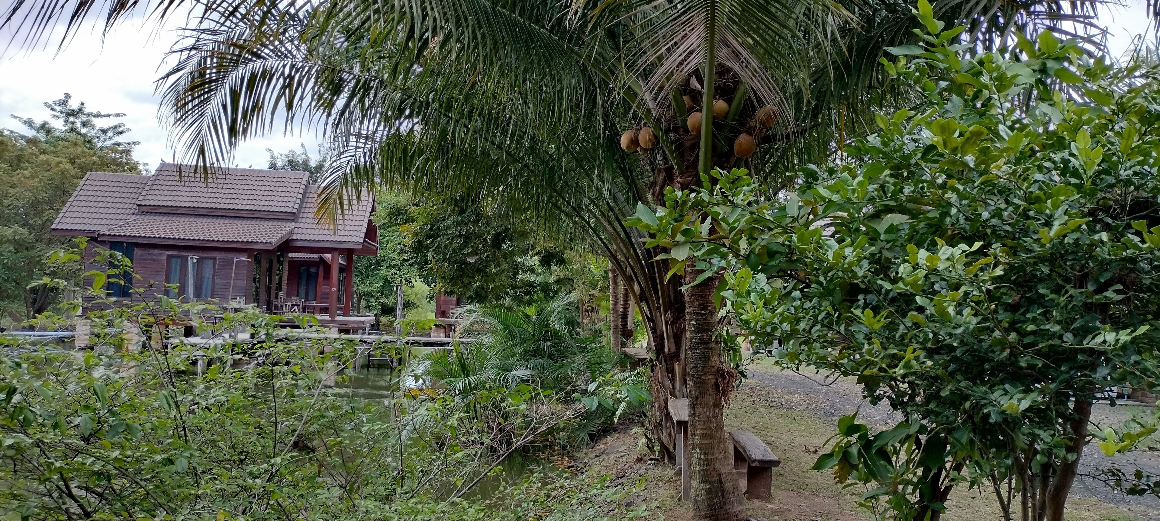 A rustic house with a tiled roof, surrounded by lush greenery and a small pond.