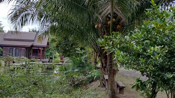 A rustic house with a tiled roof, surrounded by lush greenery and a small pond.