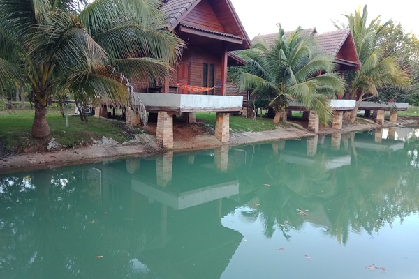 Dobbeltrom – standard | Skrivebord og wi-fi (inkludert)