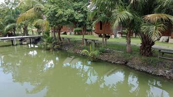 A calm pond with reflections of trees and a wooden bridge.