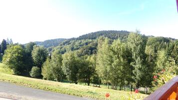 Pemandangan dari kamar