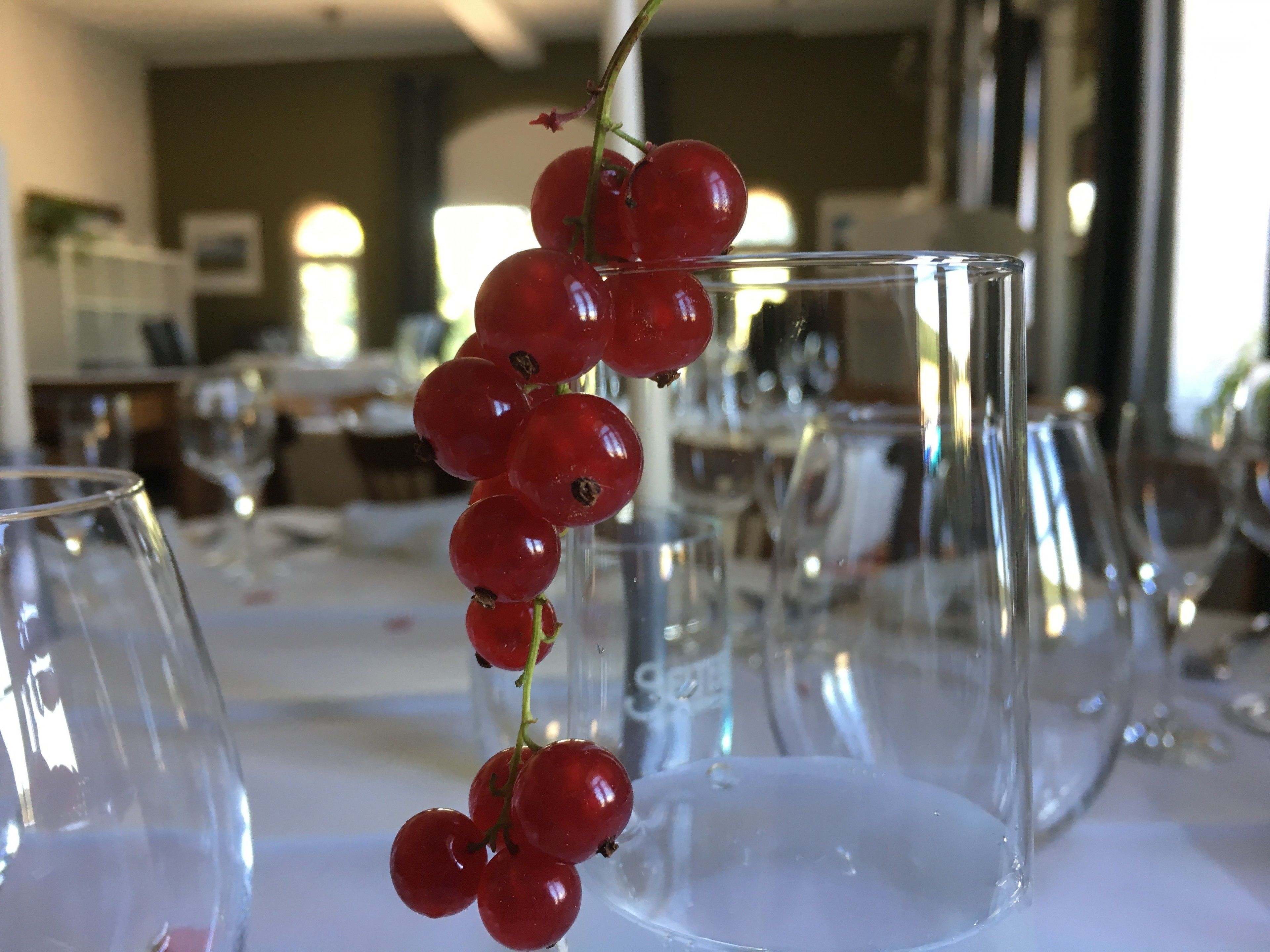A table with clear glassware and a branch of red berries.