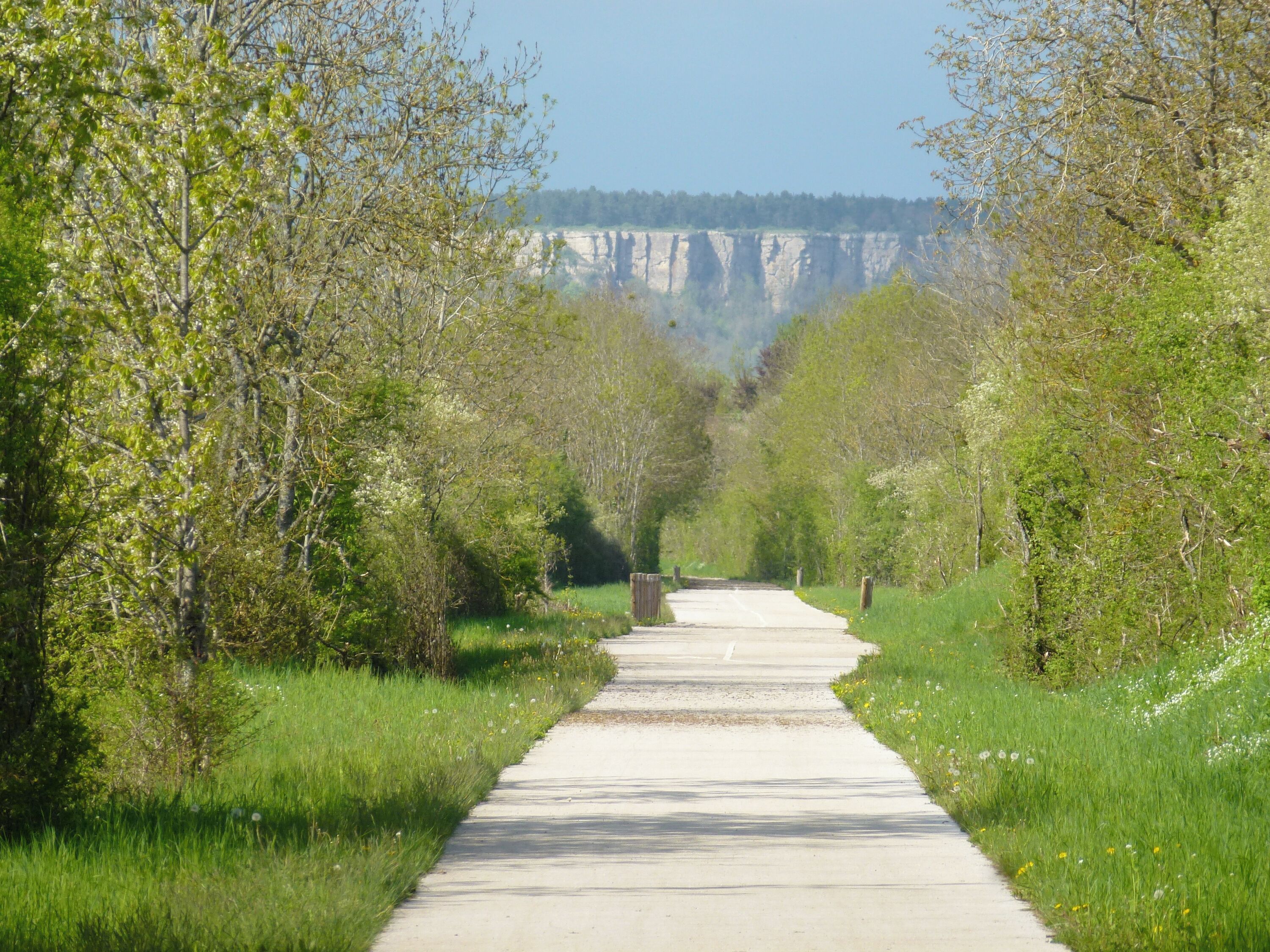 Ein gepflasterter Weg, gesäumt von Bäumen und Gras, der zu einer Klippe führt.
