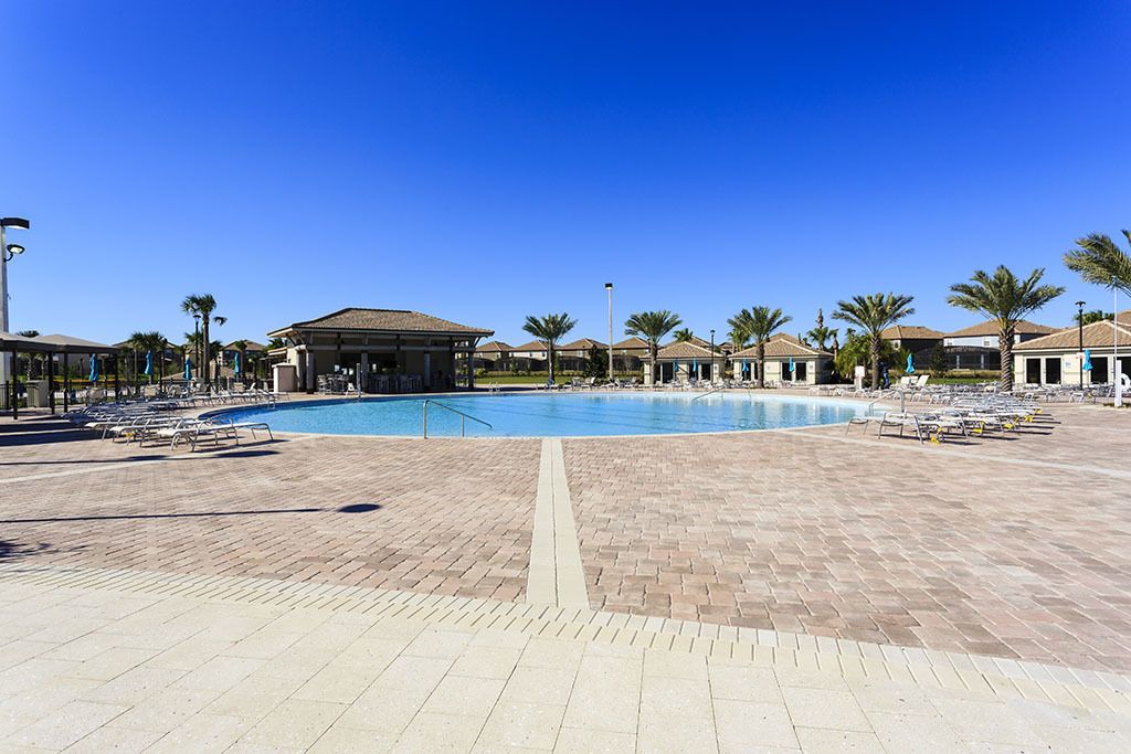 A large outdoor swimming pool with lounge chairs and palm trees.