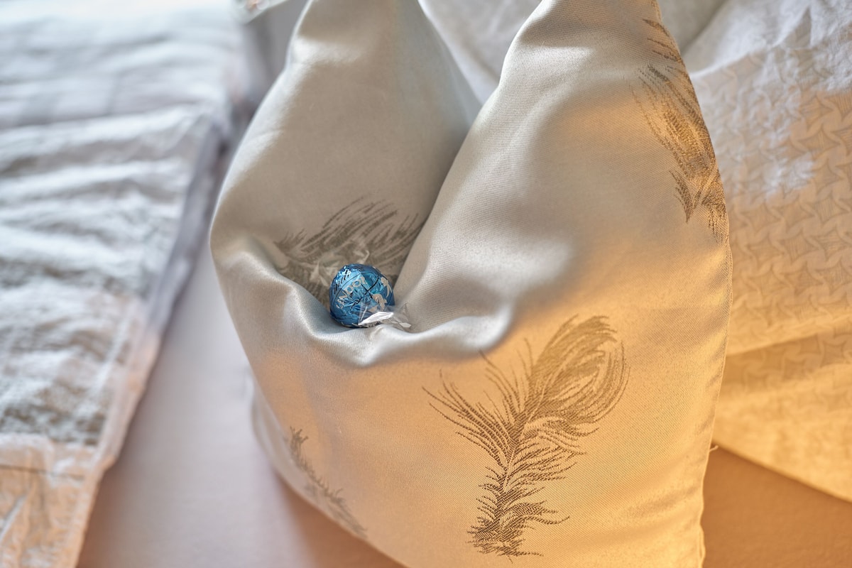 A pillow with a feather design and a blue object inside.