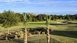 A golf course with a clear sky, palm trees, and a well-maintained lawn.