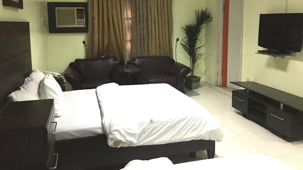 A hotel room with a bed, a sofa, a TV, and a potted plant. - Sun On Hotel (Lagos)