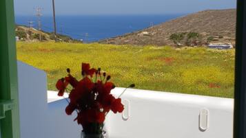 Superior Double Room | Beach/ocean view