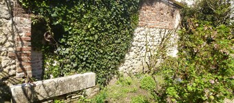 La Petite Vigne