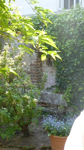 Jardín