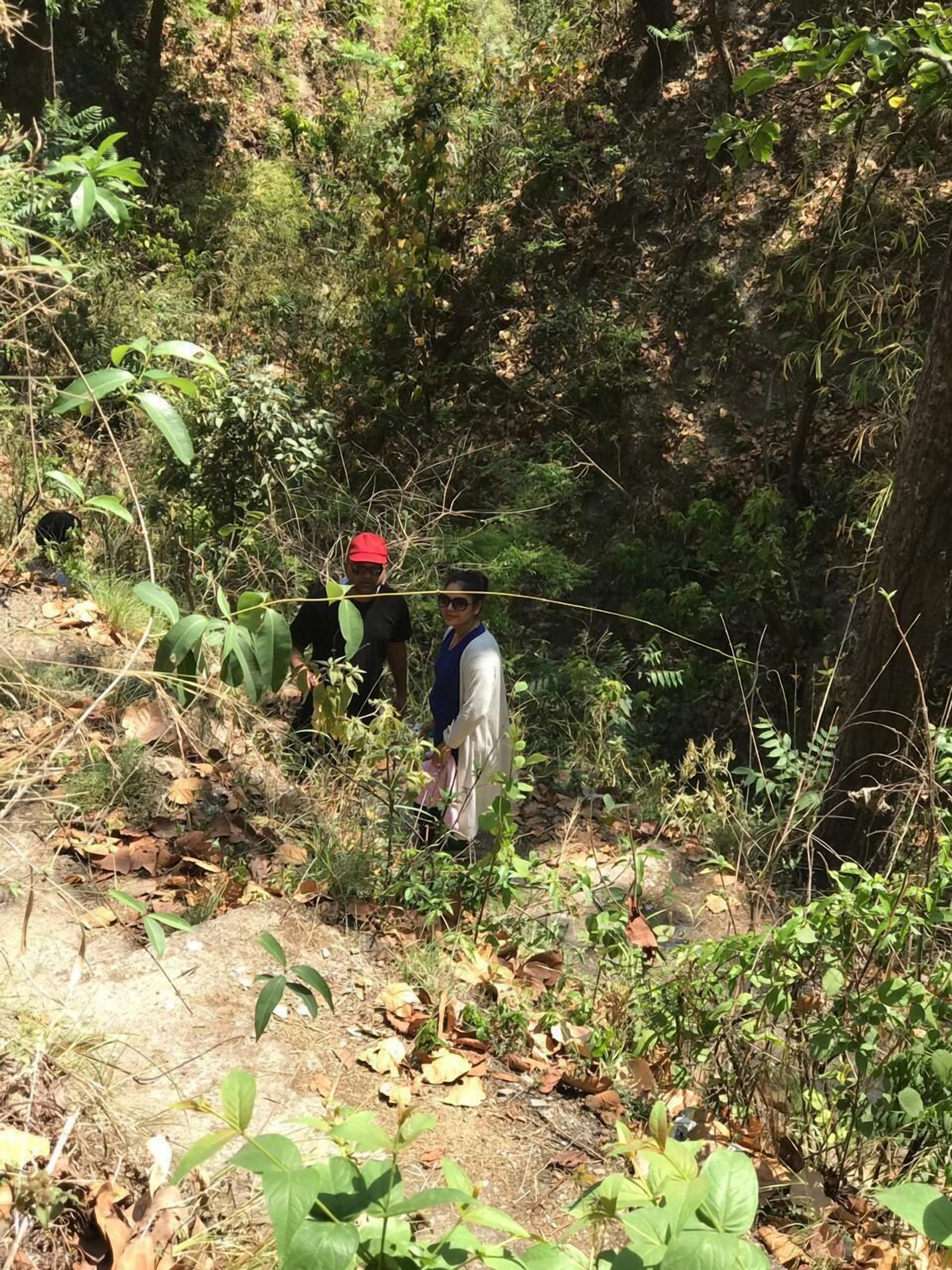 A natural outdoor setting with dense vegetation and a dirt path.