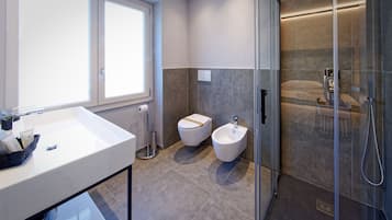 Shower, free toiletries, hair dryer, bidet