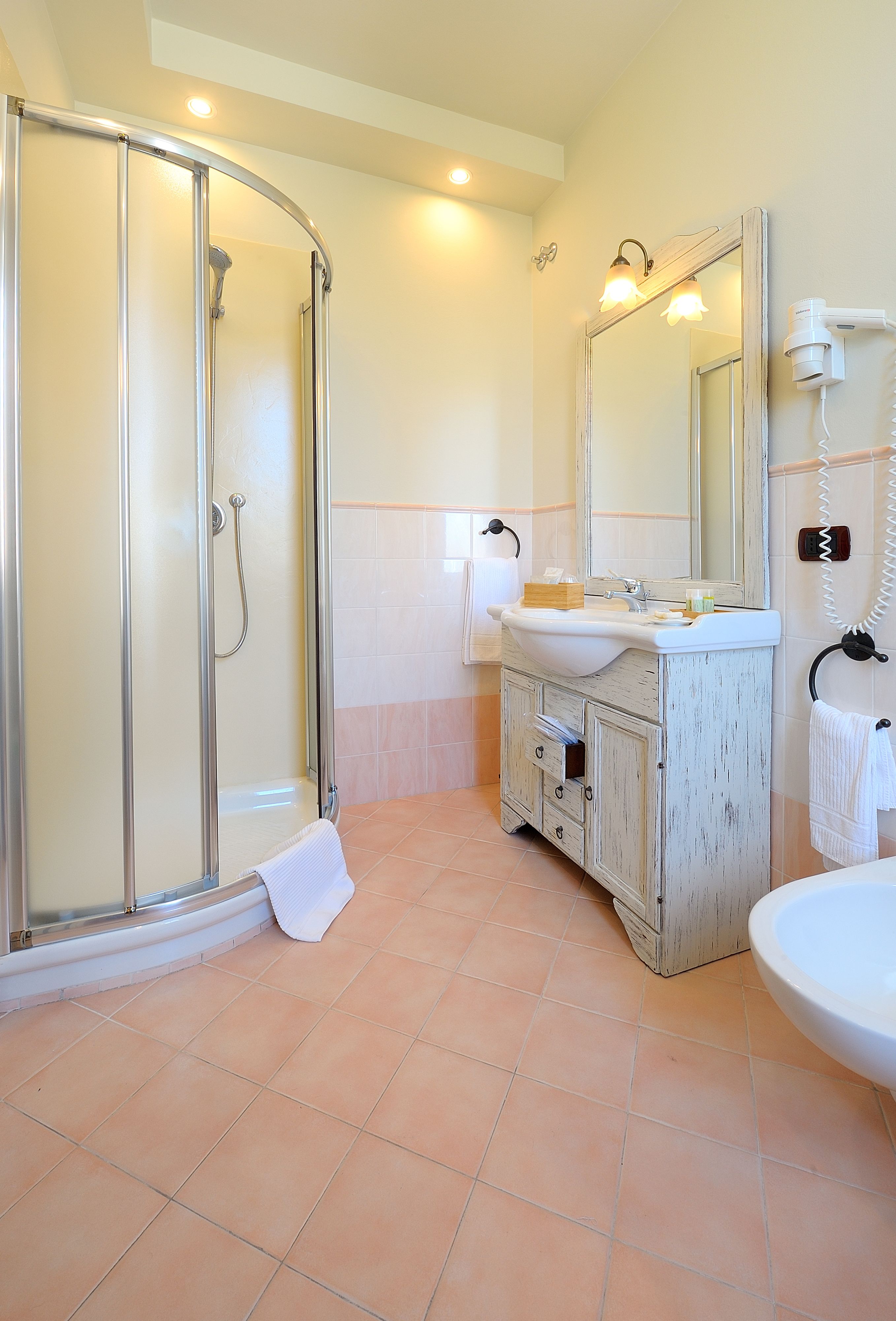 shower, free toiletries, hair dryer, bidet