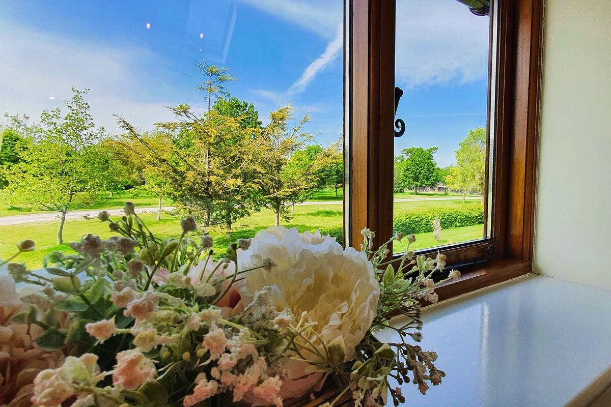 A window with a view of a park and a vase of flowers on the windowsill.