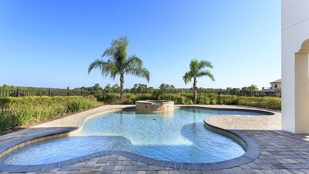 A swimming pool with a curved design, surrounded by a paved walkway and palm trees.