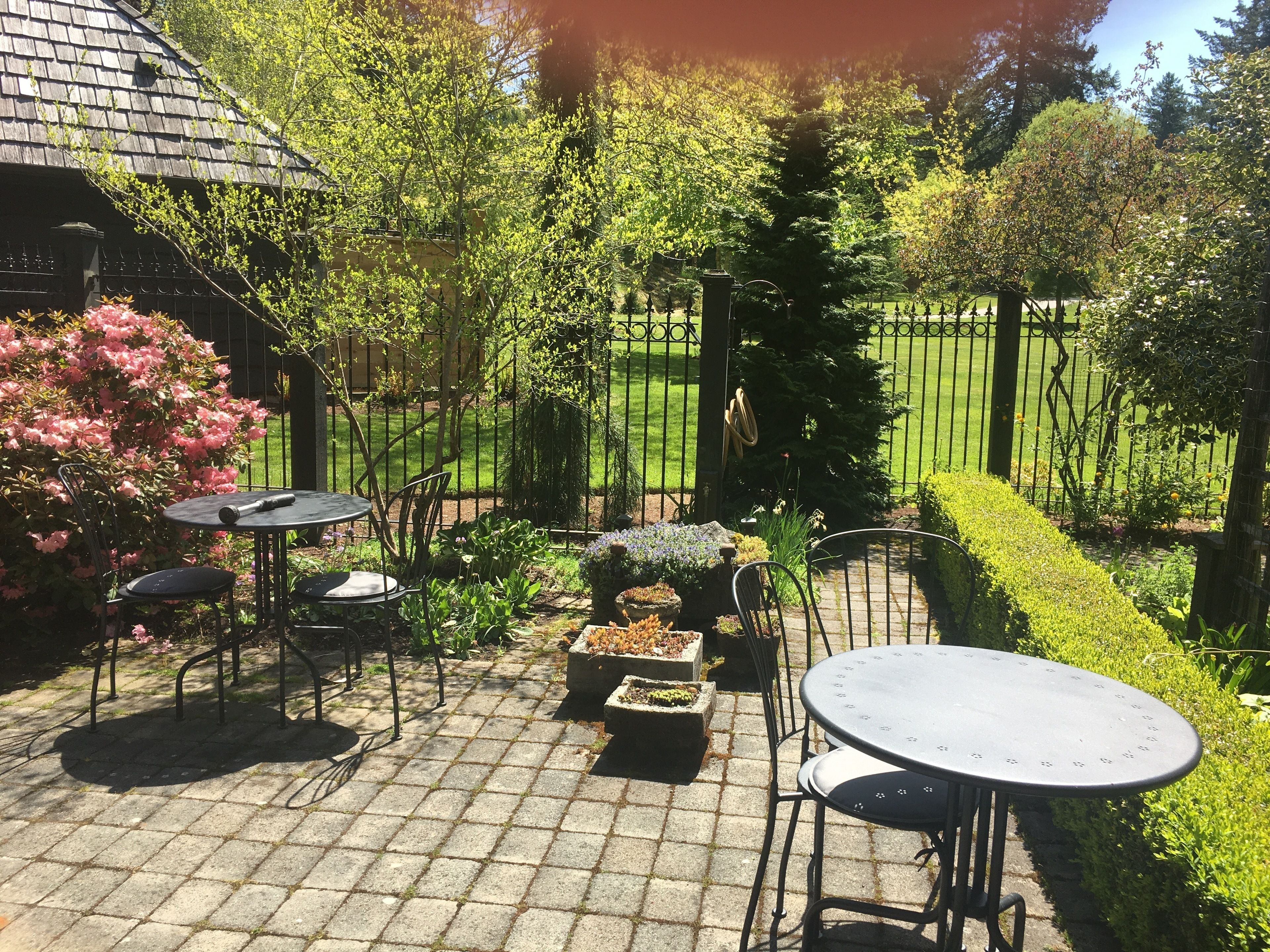 朝食 (フル ブレックファスト)、週末に提供 (無料)