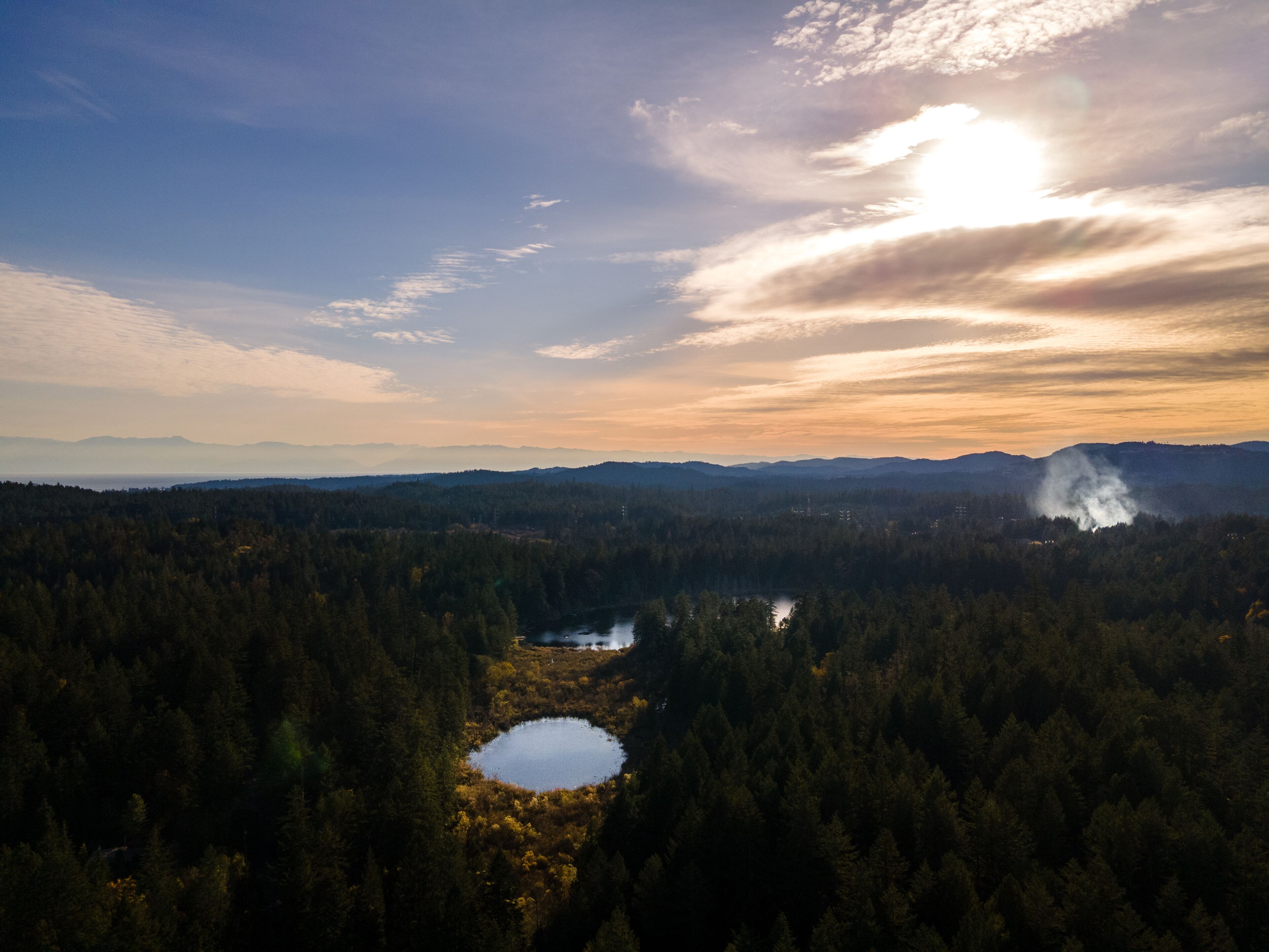 Vista panorámica de un paisaje boscoso con un lago y montañas a la distancia.
