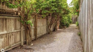 A narrow gravel path flanked by wooden fences with climbing plants.