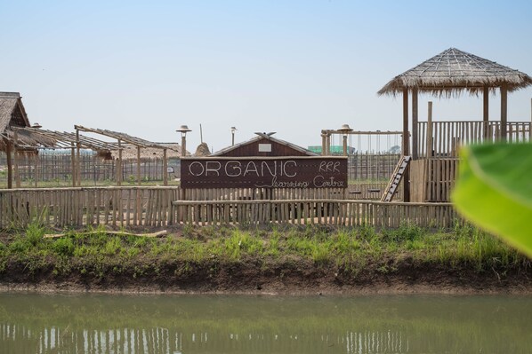 Garden - Rai Ruen Rom Organic Farm (Thoeng)