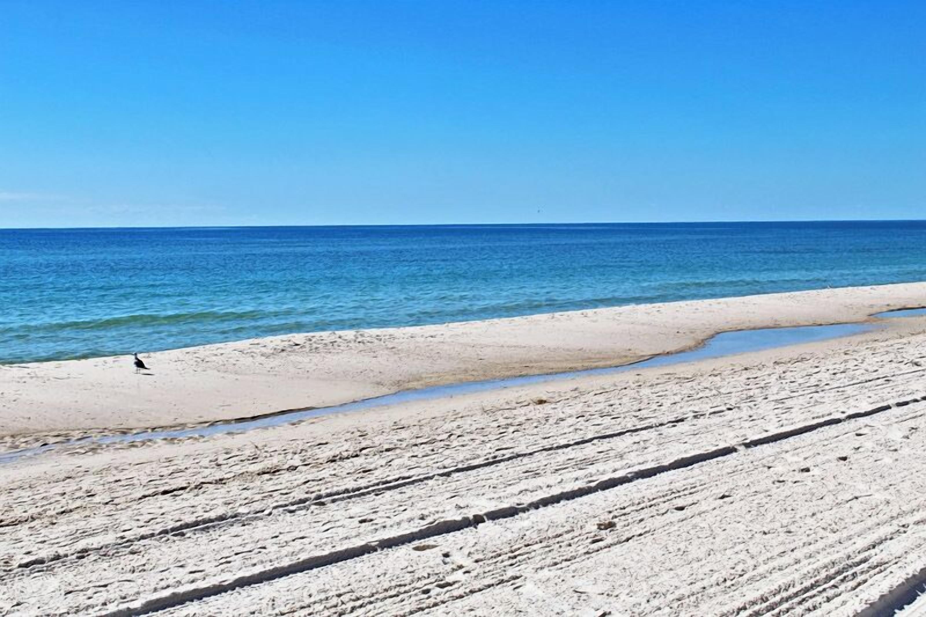 Ein Strand mit blauem Himmel und ruhiger See.