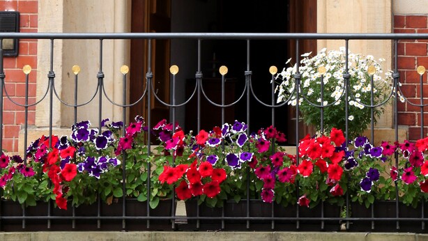 A building entrance with a stone archway and a metal railing with flowers. - Landhotel Sonnenhof (Siebeldingen)
