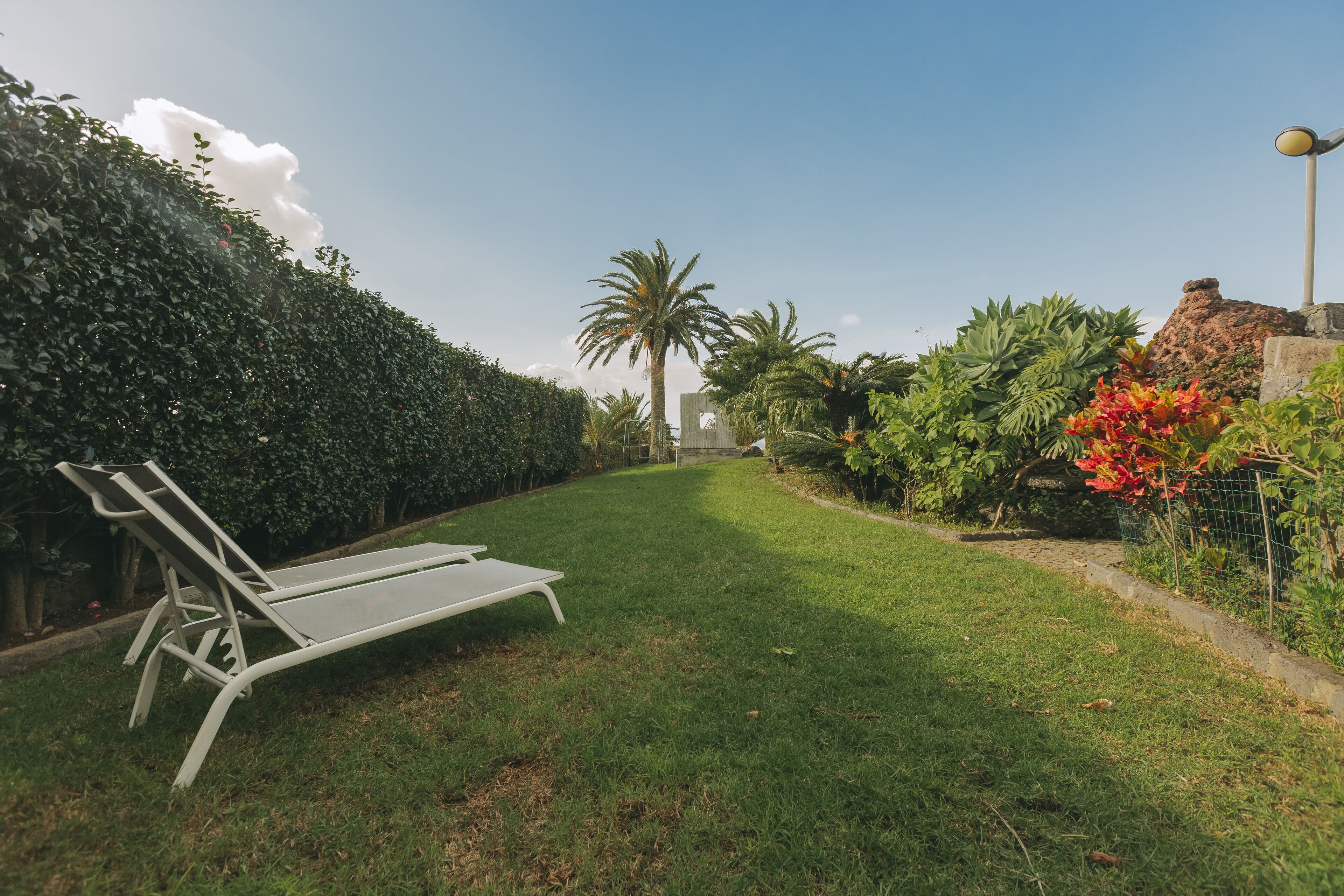 A well-maintained garden with a lawn, a white metal bench, and various plants including a palm tree.