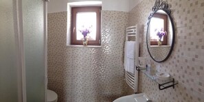 Shower, free toiletries, hair dryer, bidet