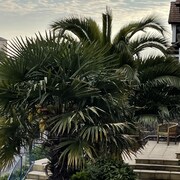Hotel Hudson