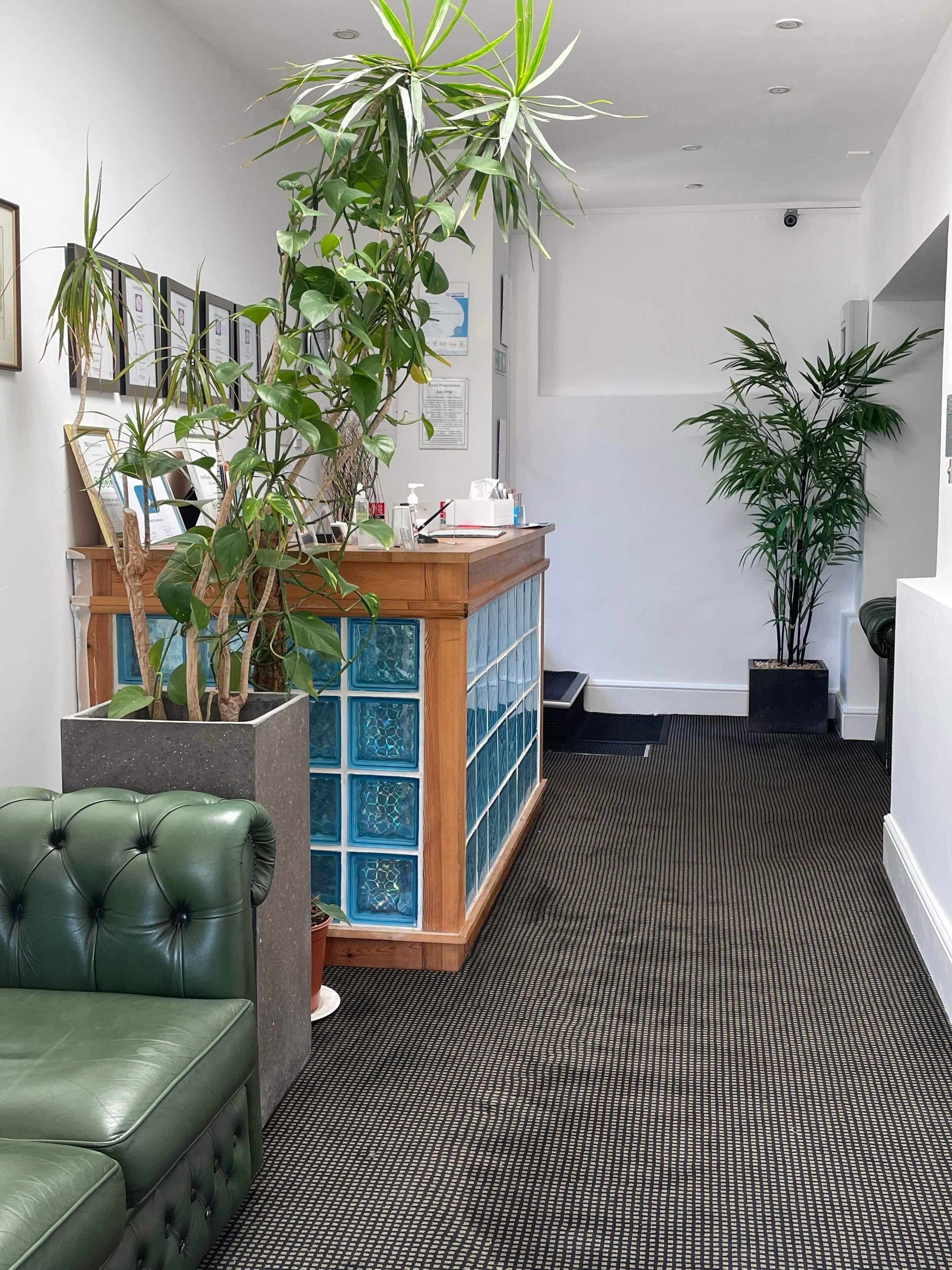 A reception area with a green leather couch, a wooden reception desk, and potted plants.