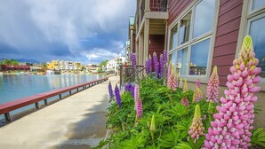 Un hôtel situé au bord de l’eau, doté d’une promenade en béton, de magnifiques fleurs de lupin aux couleurs vives, et offrant une vue sur l’eau et les bâtiments en arrière-plan.