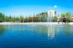 View from property - Aquarius (Khodosivka)