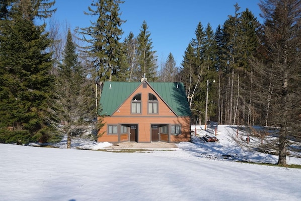 A cabin with a green roof, wooden exterior, and a front porch.
