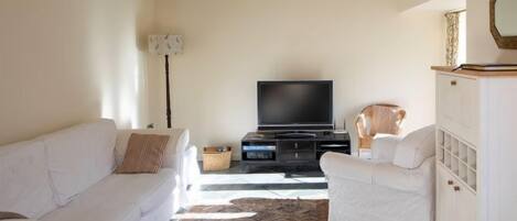 TV, console de videogame
