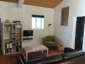 Télévision, cheminée, lecteur de DVD, table de tennis de table