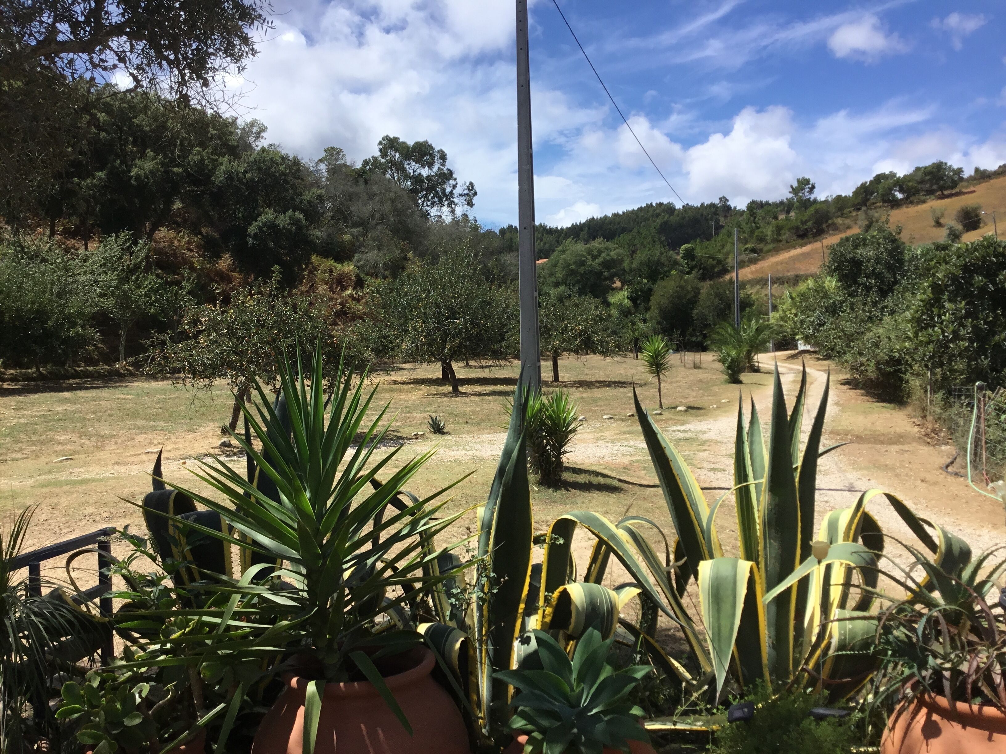 Áreas de la propiedad