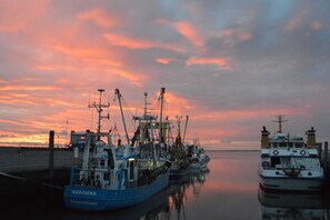 En havn med flere fiskebåde ved kaj, blandt andet med navnene 'Madonna' og 'Nordstrand'.