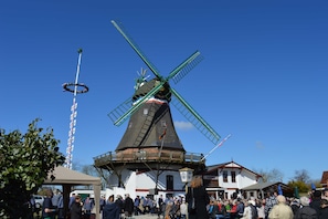 Imagen sin descripción, 3 de 44, botón