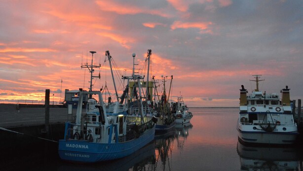 Un puerto con varios barcos de pesca amarrados, incluyendo nombres como 'Madonna' y 'Nordstrand'.